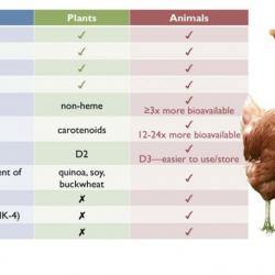 Why Red Meat Is a Health Food?