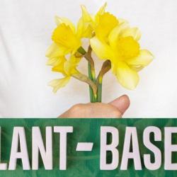 Natural Relief: How a WFPB Diet Can Ease Menopause Symptoms